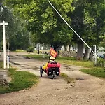 Partifecske * Pilismarot